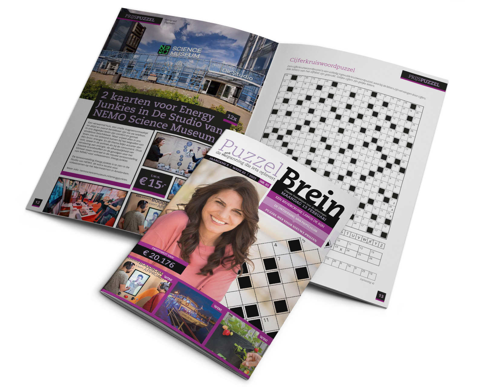 cover en opengevouwen puzzelbrein